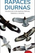 RAPACES DIURNAS 16ª EDICION - GUIAS DESPLEGABLES TUNDRA