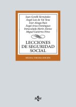 Lecciones de Seguridad Social