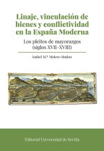 LINAJE VINCULACION DE BIENES Y CONFLICTIVIDAD EN LA ESPAÑA