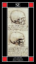 metamorfosi degli animali
