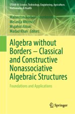 Algebra without Borders - Classical and Constructive Nonassociative Algebraic Structures