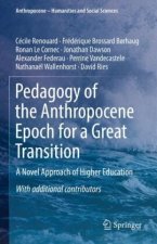 Pedagogy of the Anthropocene epoch for a Great Transition