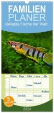 Familienplaner 2024 - Beliebte Fische der Welt mit 5 Spalten (Wandkalender, 21 x 45 cm) CALVENDO