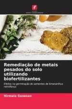 Remediaç?o de metais pesados do solo utilizando biofertilizantes