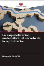 La esqueletización matemática, el secreto de la optimización