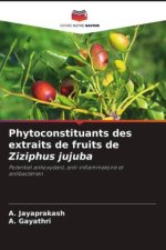 Phytoconstituants des extraits de fruits de Ziziphus jujuba