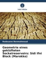 Geometrie eines geklüfteten Sockelreservoirs: Sidi Ifni Block (Marokko)