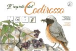 segreto del Codirosso. Ediz. ad alta leggibilità