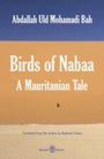 Birds of Nabaa