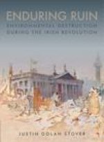 Enduring Ruin: Environmental Destruction during the Irish Revolution