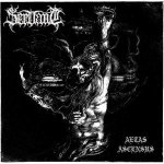 Aetas Ascensus