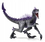 Raptor Cienia SLH70154