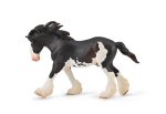 Ogier Clydesdale maści Black Sambino