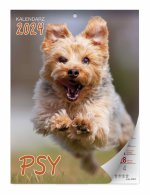 Kalendarz 2024 Psy ścienny