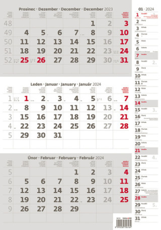Tříměsíční šedý s poznámkami - nástěnný kalendář 2024