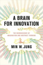 A Brain for Innovation – The Neuroscience of Imagination and Abstract Thinking