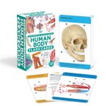 Our World in Pictures Human Body Flash Cards