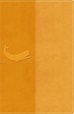 NIRV ILLUSTRATED BIBLE FOR KIDS YELLOW L