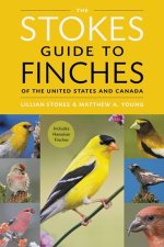 STOKES GT FINCHES OF THE US & CANADA