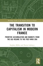 Transition to Capitalism in Modern France