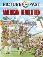 AMER REVOLUTION PICTURE THE PAST