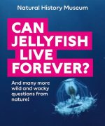 Can Jellyfish Live Forever?: And Many More Wild and Wacky Questions from Nature!