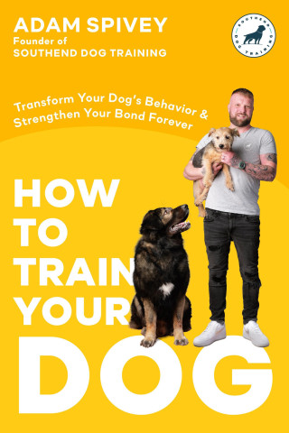 HT TRAIN YOUR DOG