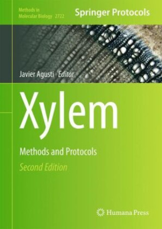 Xylem