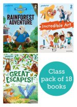 Readerful Rise: Class Pack  (Paperback)