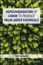 Depolymerization of Lignin to Produce Value Added Chemicals