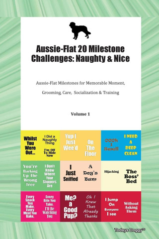Aussie-Flat 20 Milestone Challenges