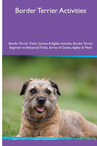 Border Terrier Activities  Border Terrier Tricks, Games & Agility. Includes