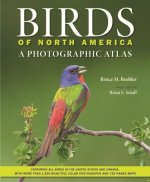 Birds of North America – A Photographic Atlas
