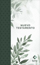 Nuevo Testamento Económico Ntv (Tapa Rústica, Verde)