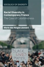 Racial Diversity in Contemporary France: Rethinking the French Model