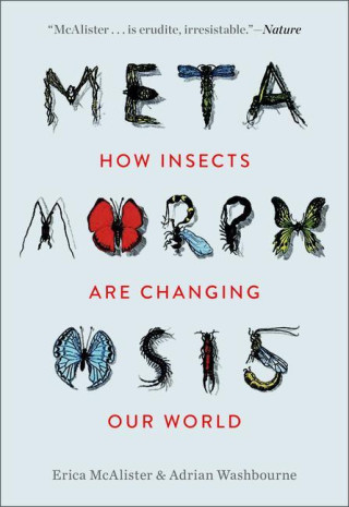 Metamorphosis: How Insects Are Changing Our World