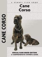 Cane Corso: Comprehensiv Owner's Guide