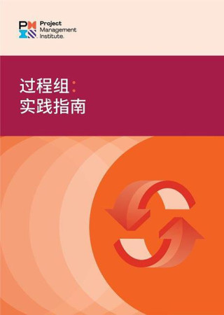 Process Groups: A Practice Guide (Simplified Chinese)