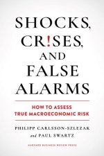 Shocks, Crises, and False Alarms: How to Assess True Macroeconomic Risk