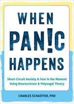 When Panic Happens: Short-Circuit Anxiety and Fear in the Moment Using Neuroscience and Polyvagal Theory