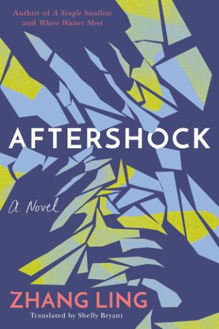 AFTERSHOCK