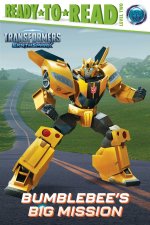 BUMBLEBEES BIG MISSION RTR