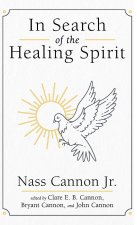 In Search of the Healing Spirit