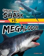 Great White Shark vs. Megalodon