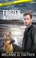 Frozen in Jeopardy: Christian Romantic Suspense