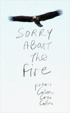 Sorry about the Fire