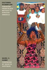 Cultures in Babylon: Feminism from Black Britain to African America