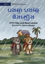 Cat and Dog and the Rain - បងឆ្មា បងឆ្កែ និងភ្&#