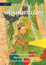 Where is Gogo? - តើអូអូនៅឯណា?