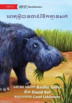 Why Hippos Have No Hair - ហេតុអ្វីបានជាដំរីɛ